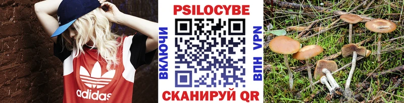 Галлюциногенные грибы Magic Shrooms  наркота  мега ONION  Тбилисская 